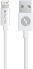 Champion Lightning Cable - 2 meter